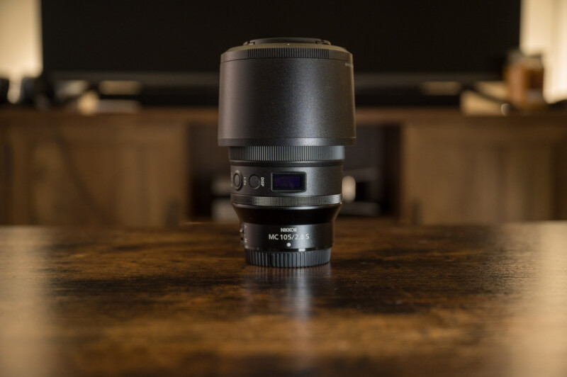 Nikon Z 105mm f/2.8 Macro Lens Review: A Stunning Tele Macro Combo