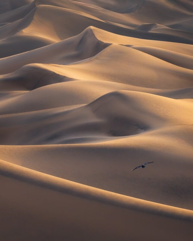 how to photograph sand dunes, landscape photography death valley national park