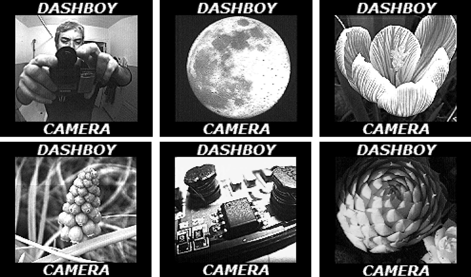 This DIY Game Boy Camera Ditches the Game Boy, Keeps the Camera PetaPixel