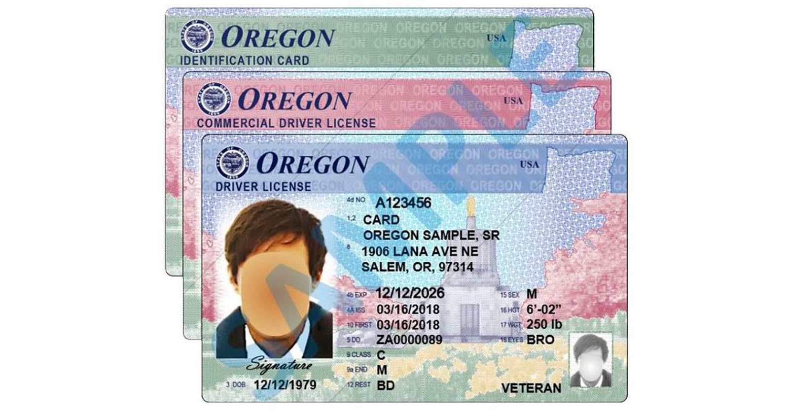 Statewide Camera Outage Leaves Oregonians Unable to Get ID Photos PetaPixel picture image