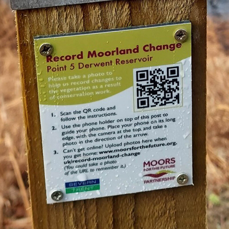 record moorland change