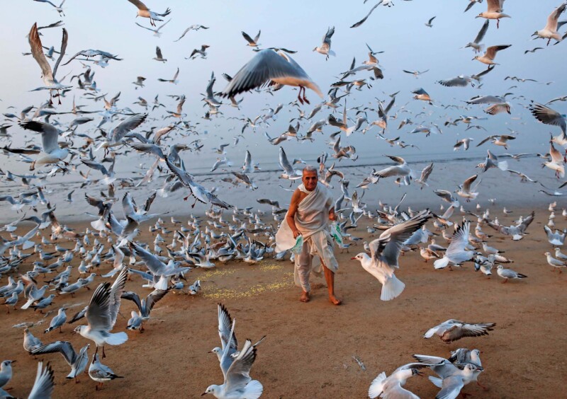 A man feeds seagulls on a beach.