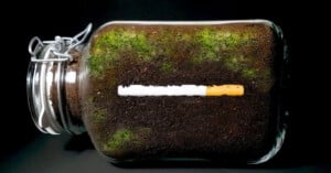 Cigarette in soil