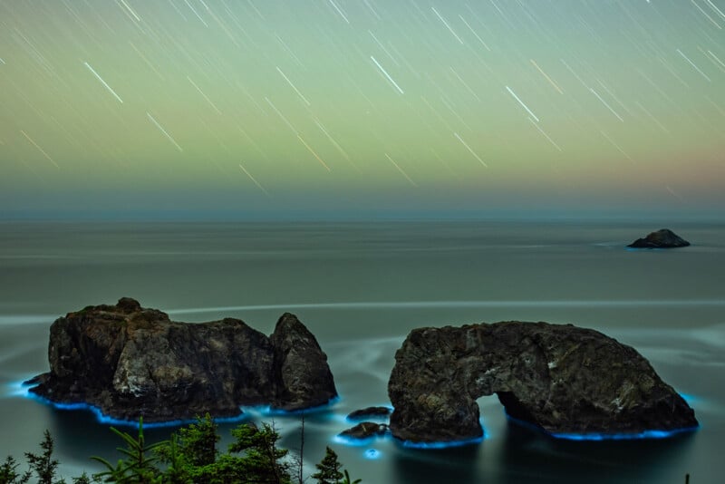 Bioluminescent rocks