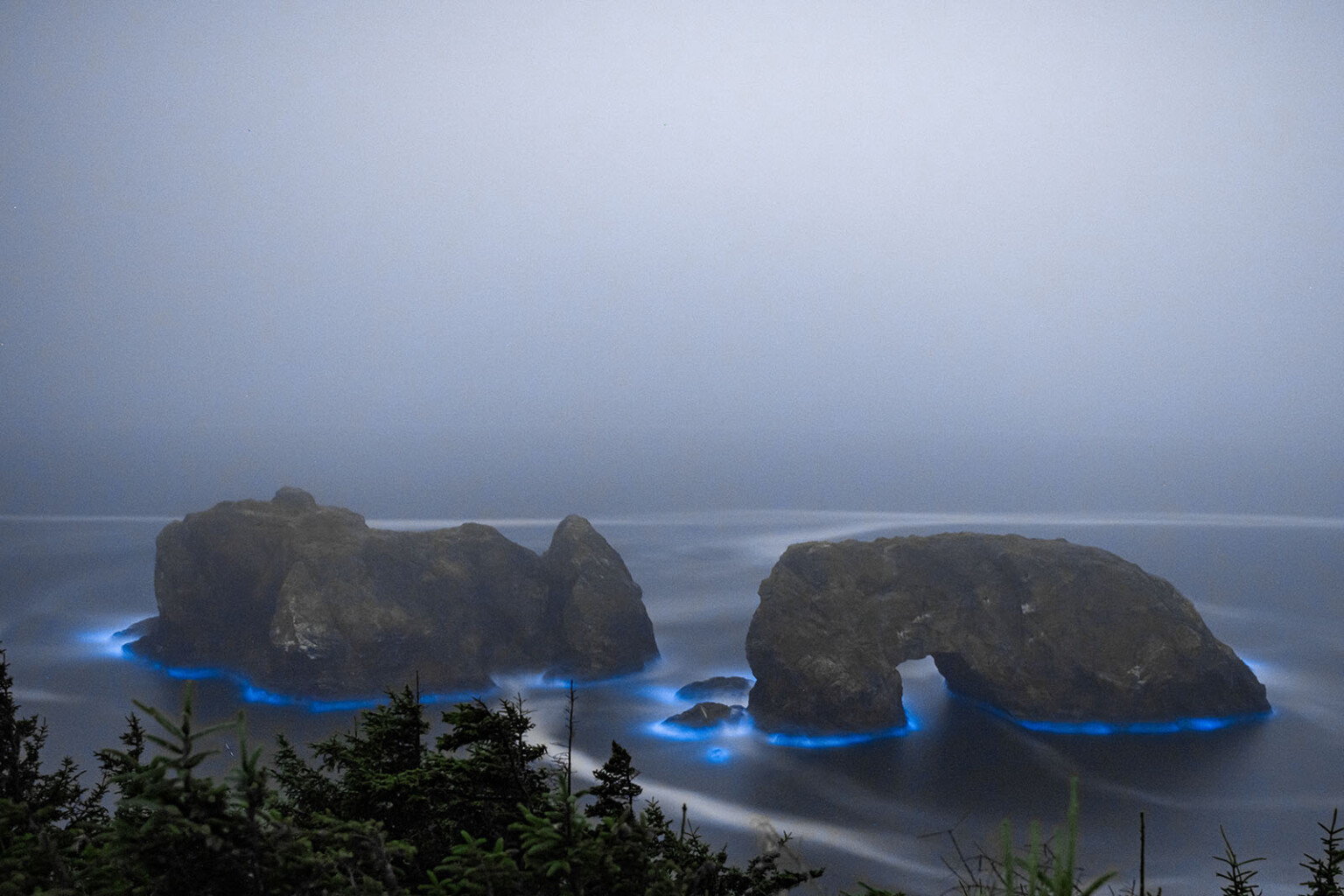 Photos of Bioluminescent Rocks Glowing Off the Coast of Oregon | PetaPixel