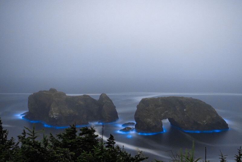 Bioluminescent rocks