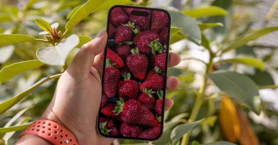 iPhone 14 Pro