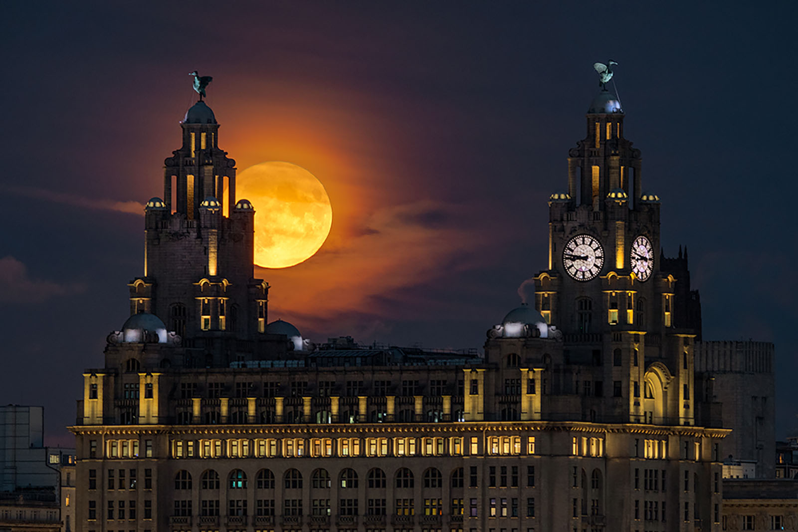 Photographers All Around the World Capture Ultra-Rare Blue Supermoon ...