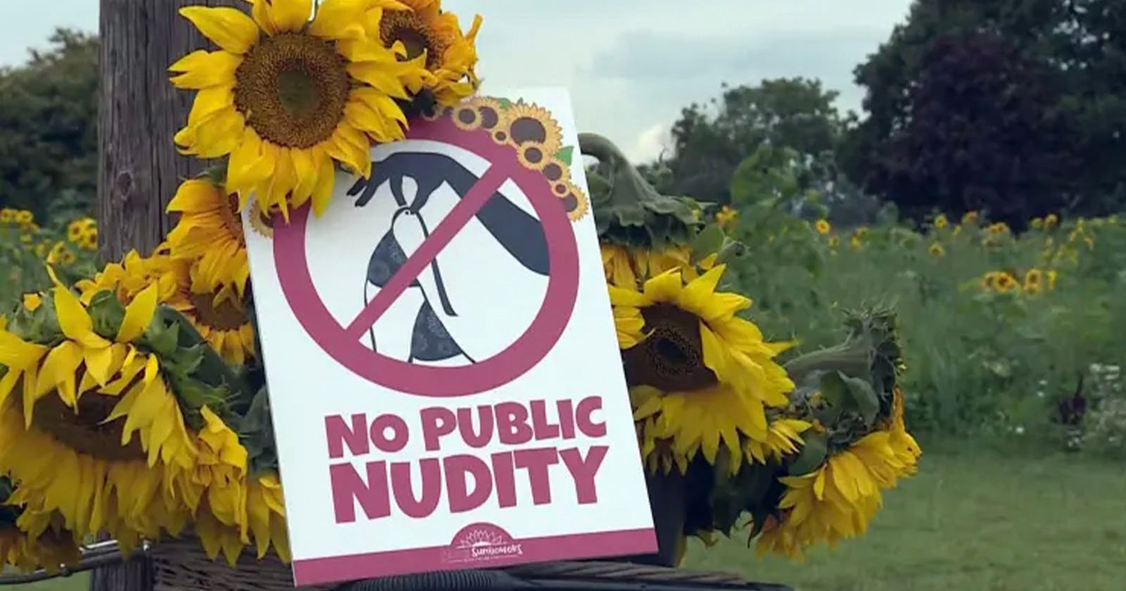 Sunflower Farm Asks for No More Nude Photo Shoots on Their Land