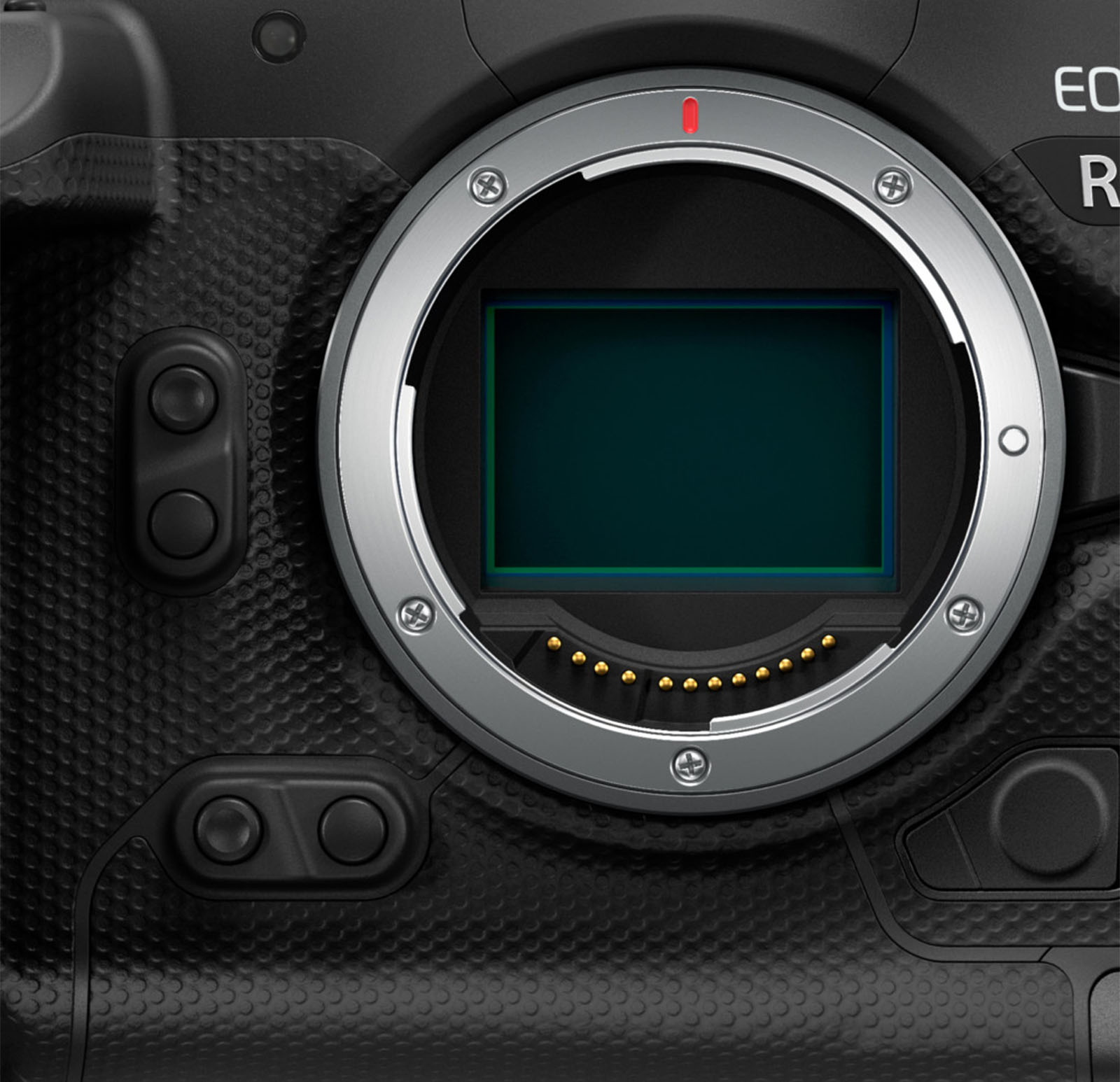 The Canon EOS R1: What We Need to See From The Upcoming Flagship ...