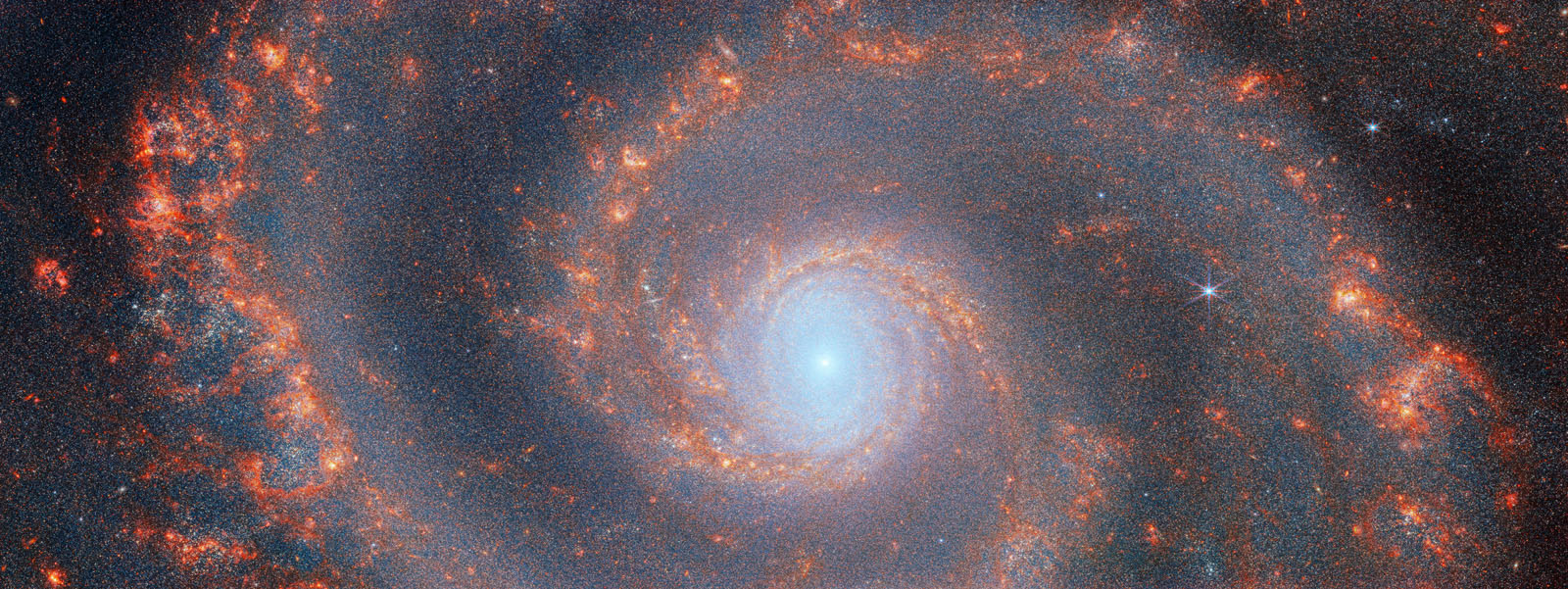  Webb M51