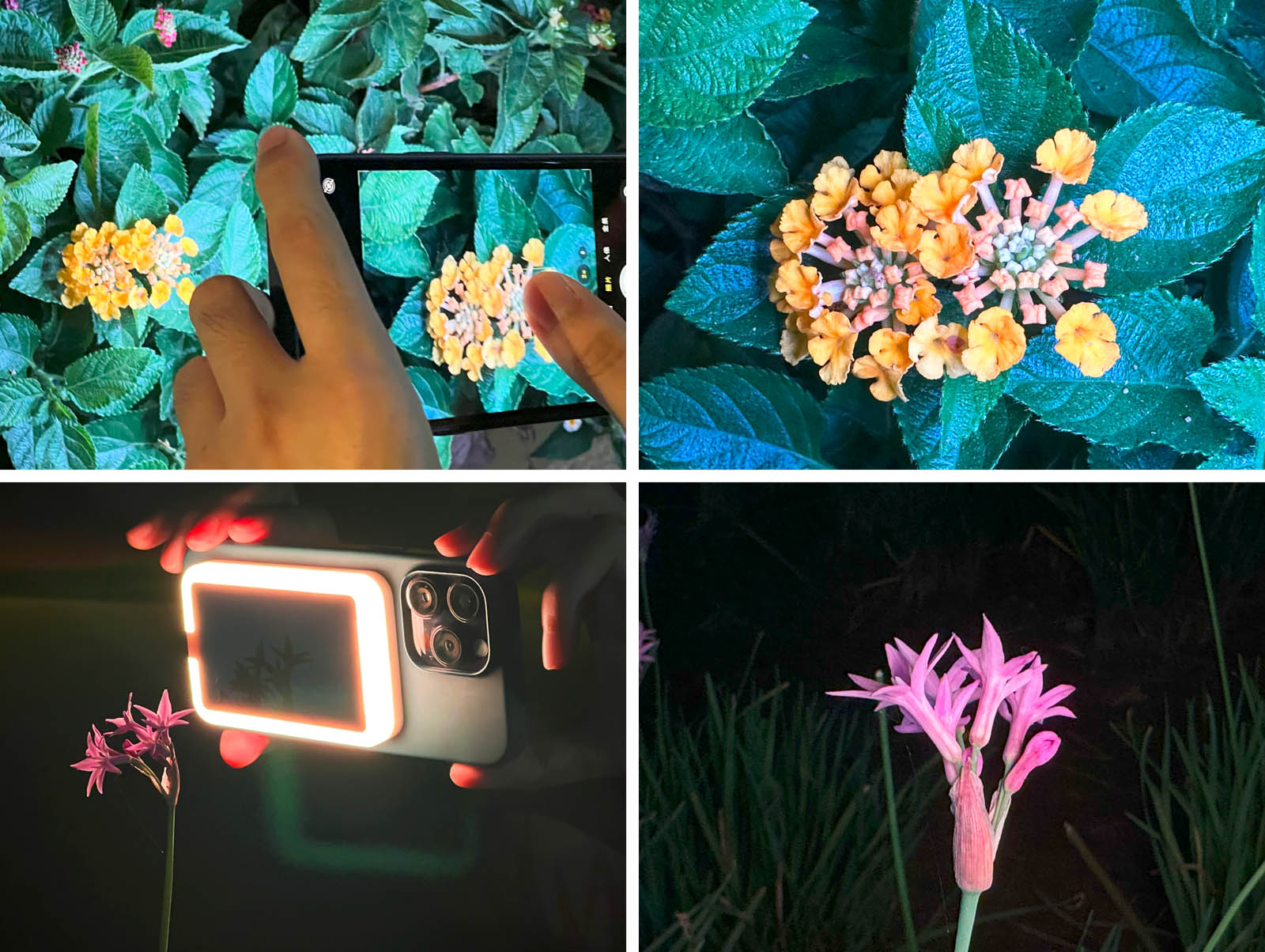 MagLight The MagSafe Smart RGB Light Redefines Mobile Photography