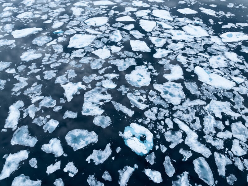 Matt Meisenheimer's photos from Svalbard