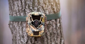 Trail Camera tied to a tree