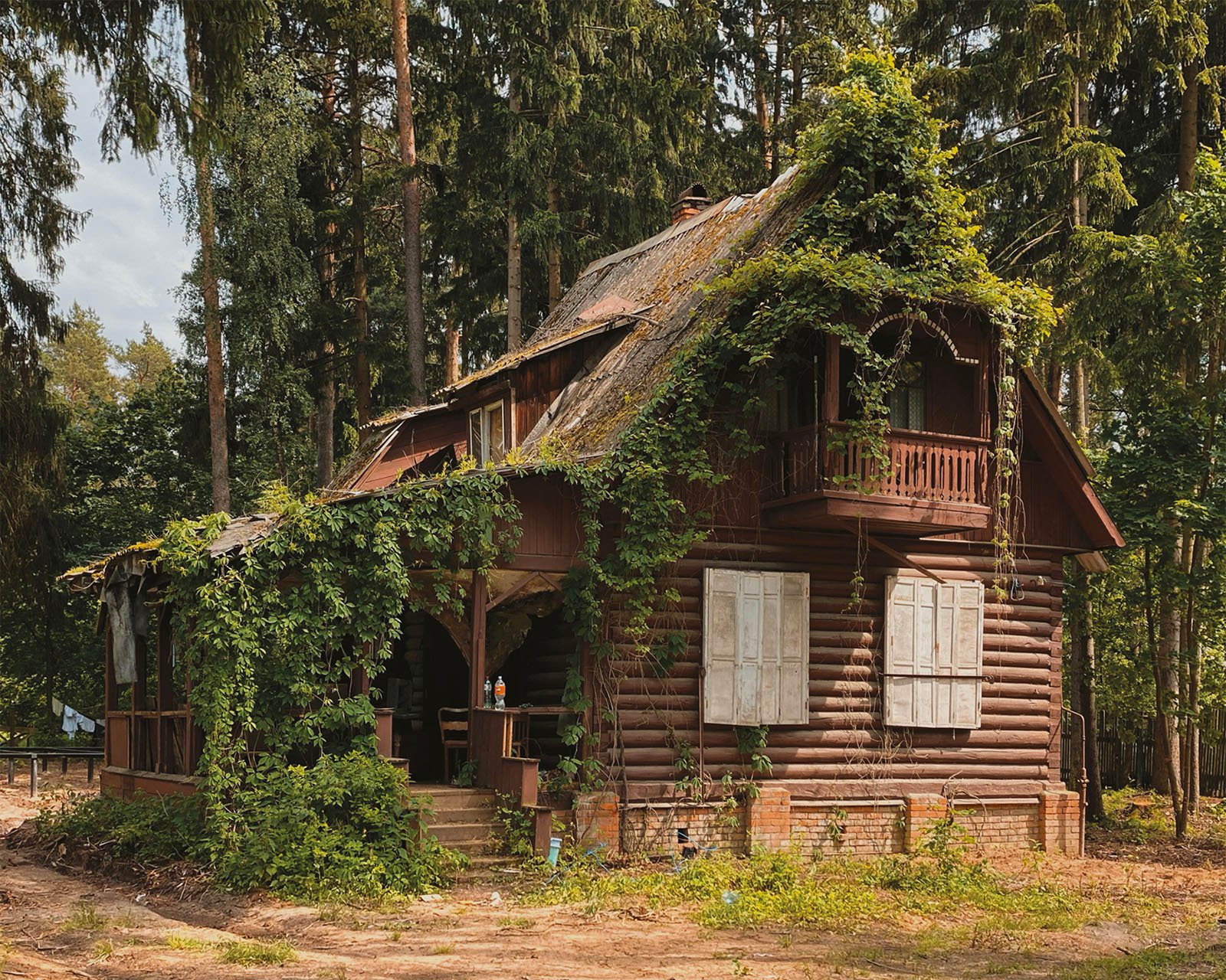 A dacha home with ivy growing along the side.