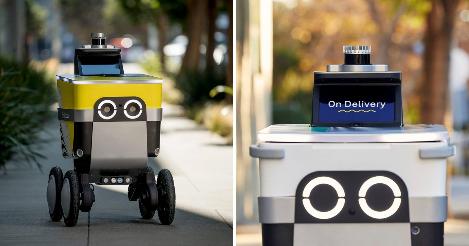 Food delivery robot