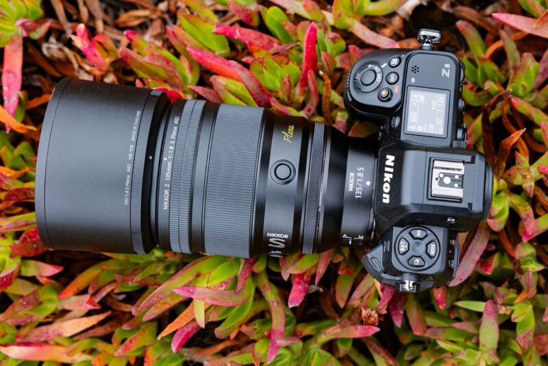 Nikkor Z 135mm f/1.8 S 'Plena' Lens Hands-On: Buckets of Beautiful Bokeh