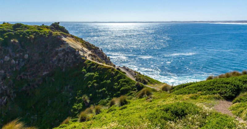 A tourist fell 164 feet (50 meters) off a cliff edge while trying to take a selfie.