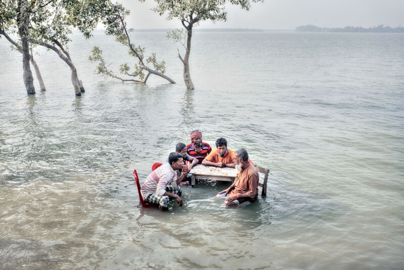 Mangrove photography awards