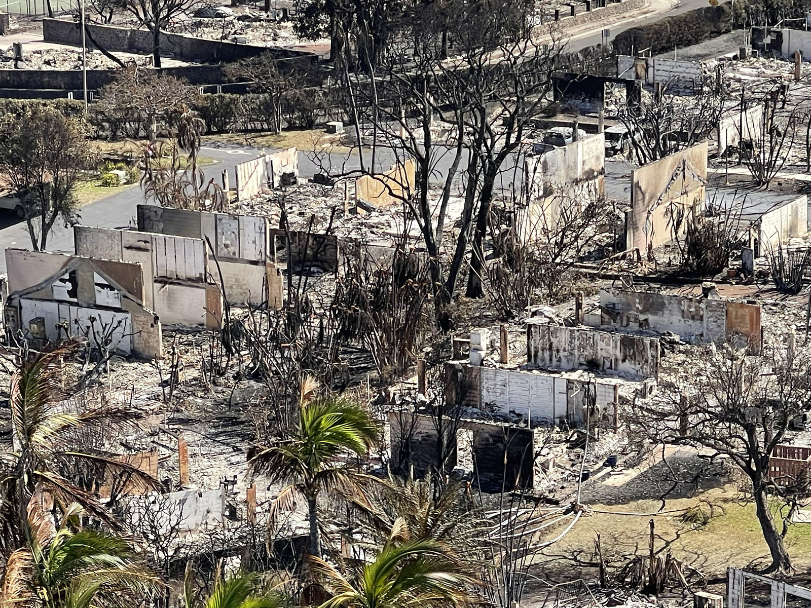 An aerial view of buildings destroyed in Hawaii after the fires.