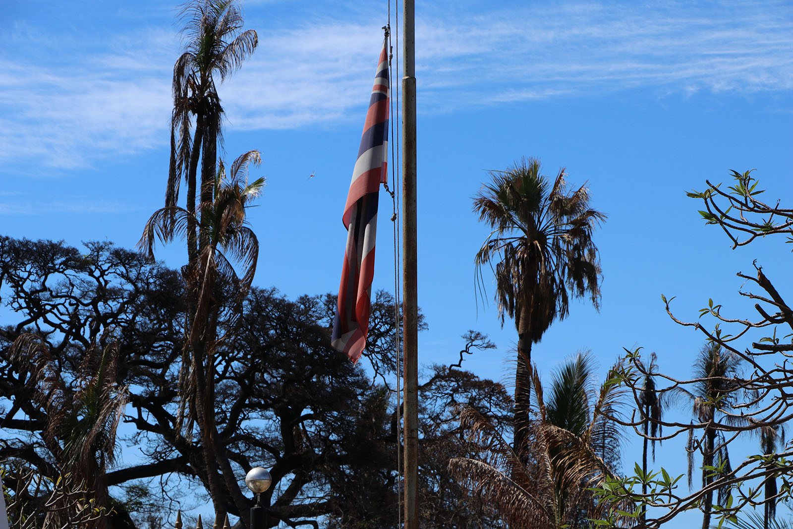 The Hawaiian flag seen standing after the fires.