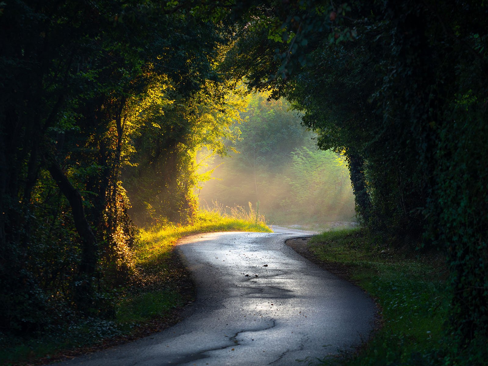 Photographer makes all of his stunning photos available for free