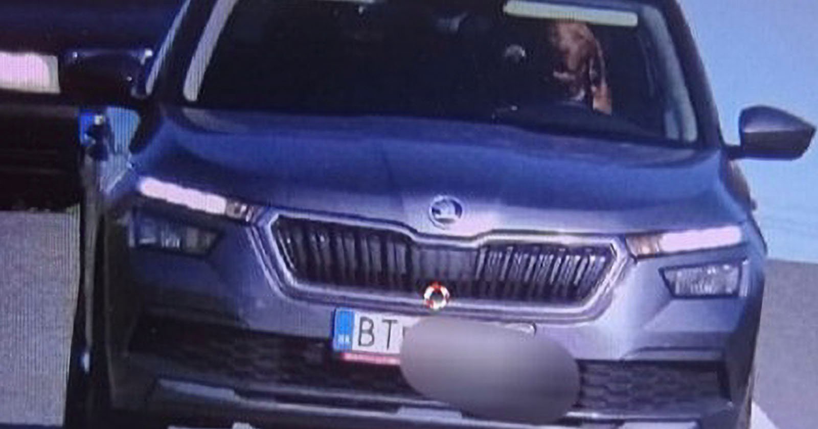 Traffic Camera Captures Dog at the Wheel of a Speeding Car