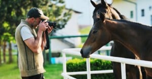 Jockey blames photographer for spooking horse during race