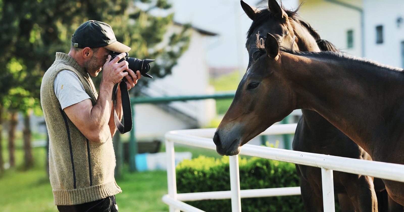Jockey Blames Photographer For Distracting Horse in $1.8 Million Race