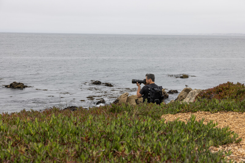 尼康新款 600mm f/6.3 VR S 超长焦镜头是同类产品中最轻的