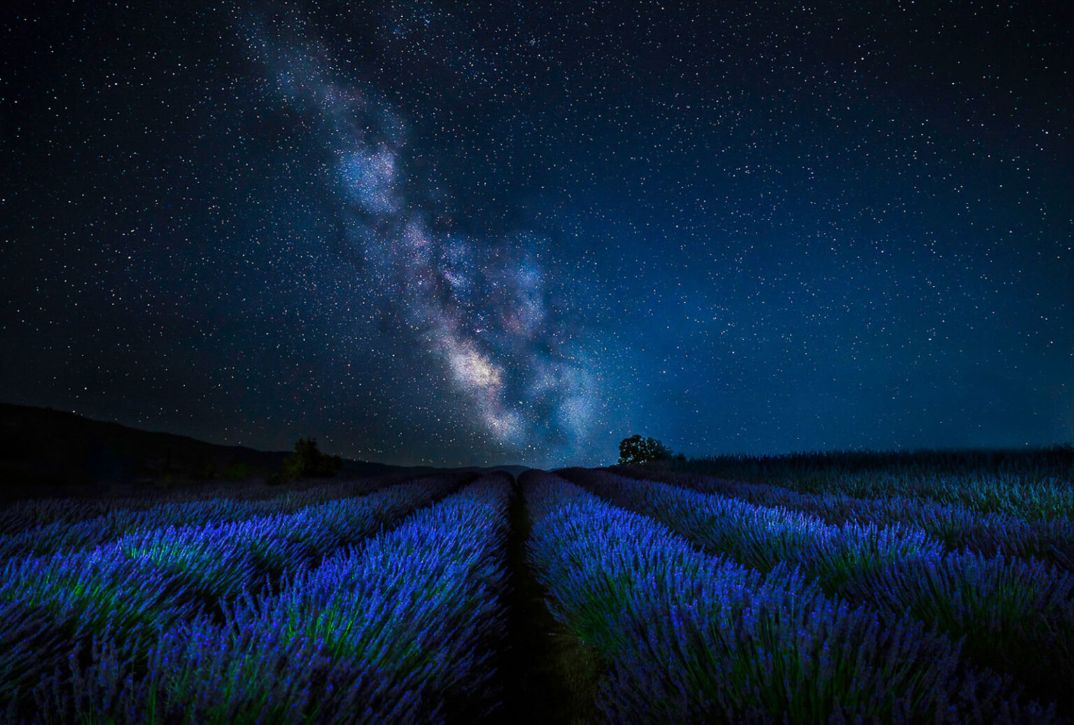 The Splendid Nature Photos That Won NANPA's 2024 Showcase | PetaPixel