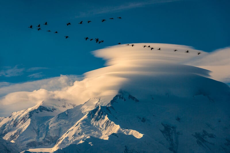 The Splendid Nature Photos That Won NANPA's 2024 Showcase | PetaPixel