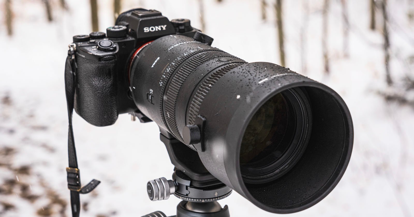 Sigma’s 70-200mm f/2.8 ‘Sports’ Lens Arrives on December 7 for $1,499