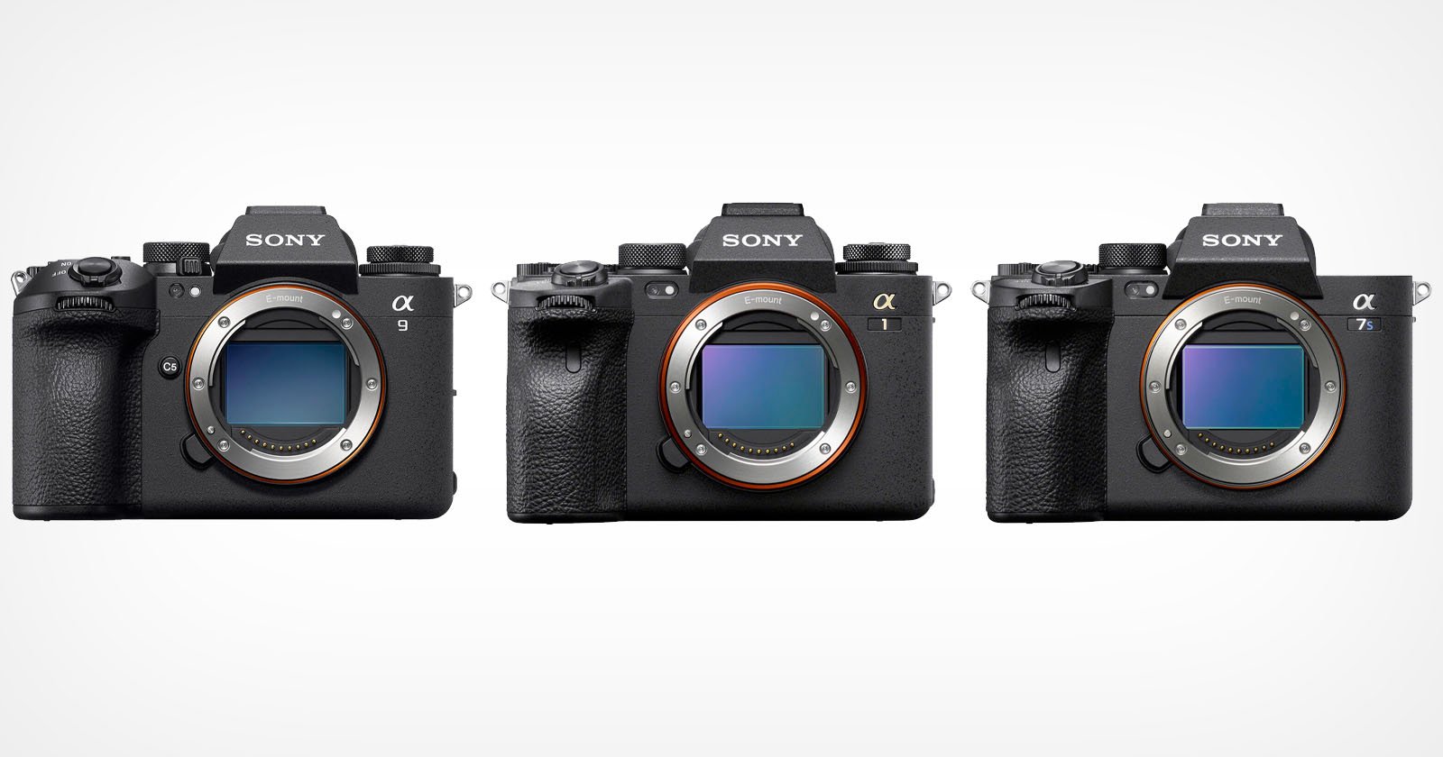 Sony Will Finally Bring New Features to Old Cameras via Firmware 