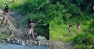 shocking footage indonesia uncontacted tribe bulldozers