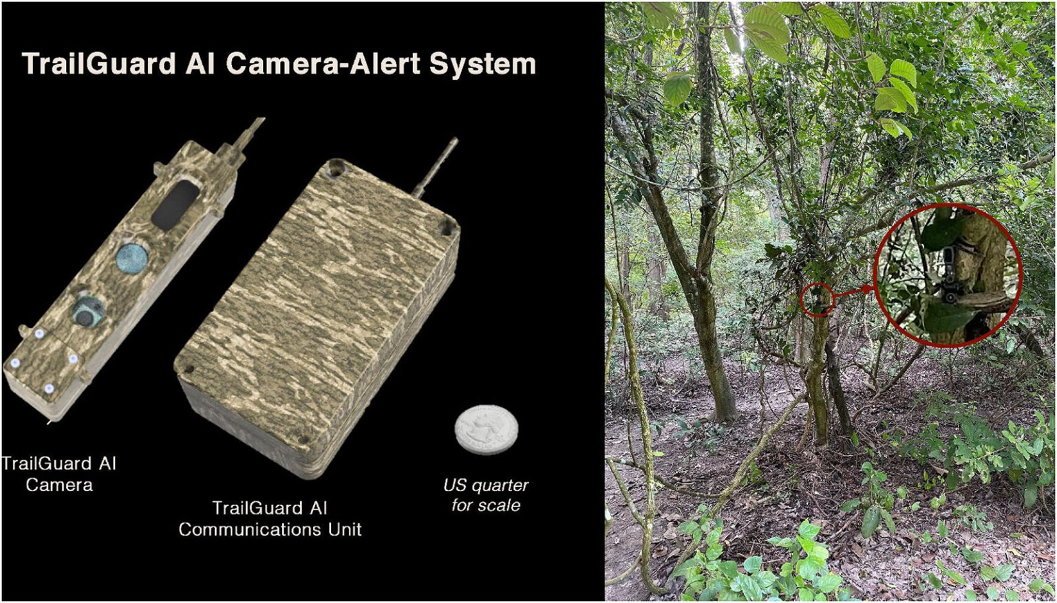 In One Tiger-Infested Village, AI Trail Cameras are Keeping People Safe ...