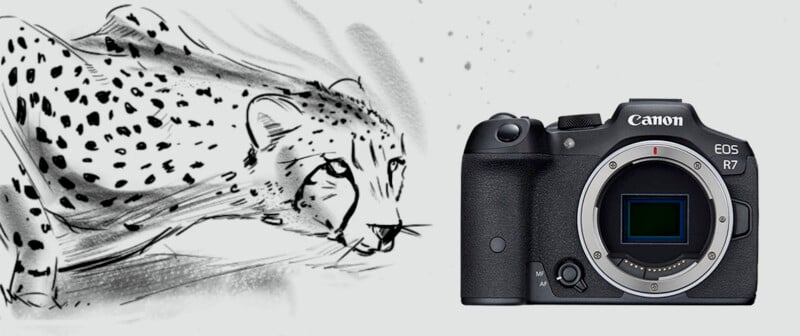 Canon EOS R7 design video