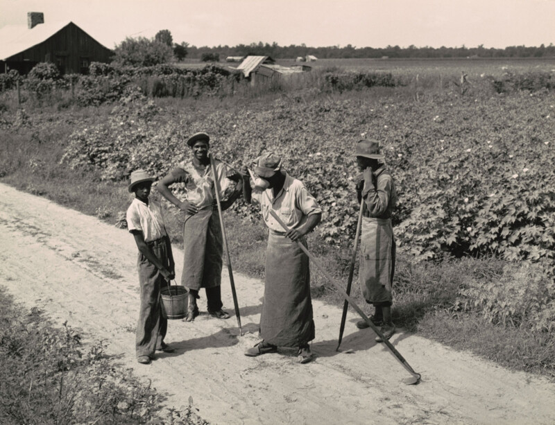 A group of people stands along a dirt road.