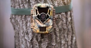 kentucky may ban trail cameras and drones public land