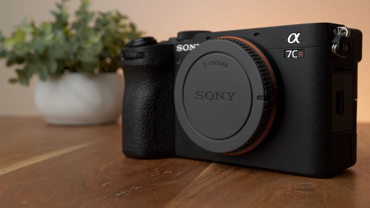 Sony in 2023: The E-Mount Cameras and Lenses That Landed This Year ...
