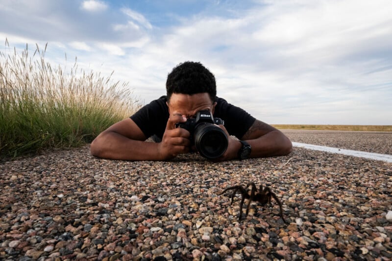 Tarantula Migration images by Devon Matthews and Kristi Odom