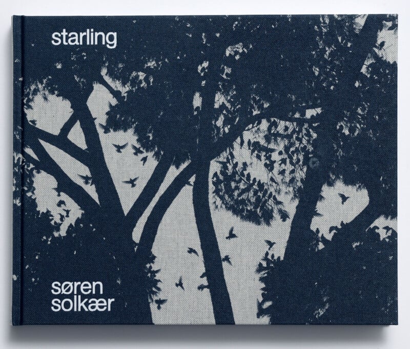 Søren Solkær interview about "Starling" monograph
