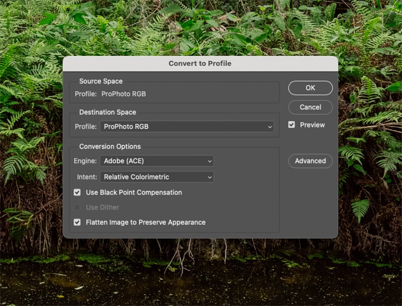 A screenshot of the Convert to Profile menu in Adobe Photoshop.