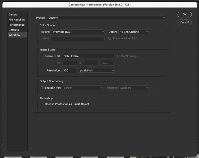 A screenshot of the Adobe Camera Raw menu for assigning a color space.