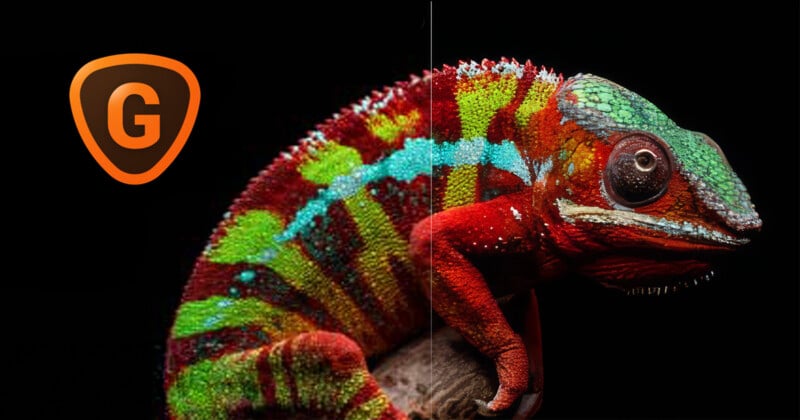 A chameleon sits in front of a black background with a split between low-res and hi-res fixed with Topaz Labs Gigapixel 7.