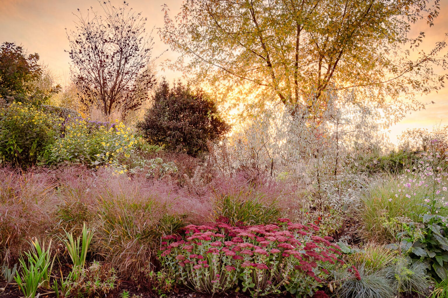 International Garden Photographer of the Year Celebrates Botanical ...