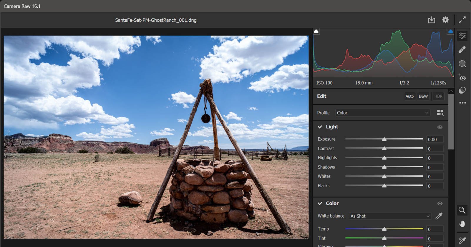 How to Use the Camera Raw Filter in Photoshop