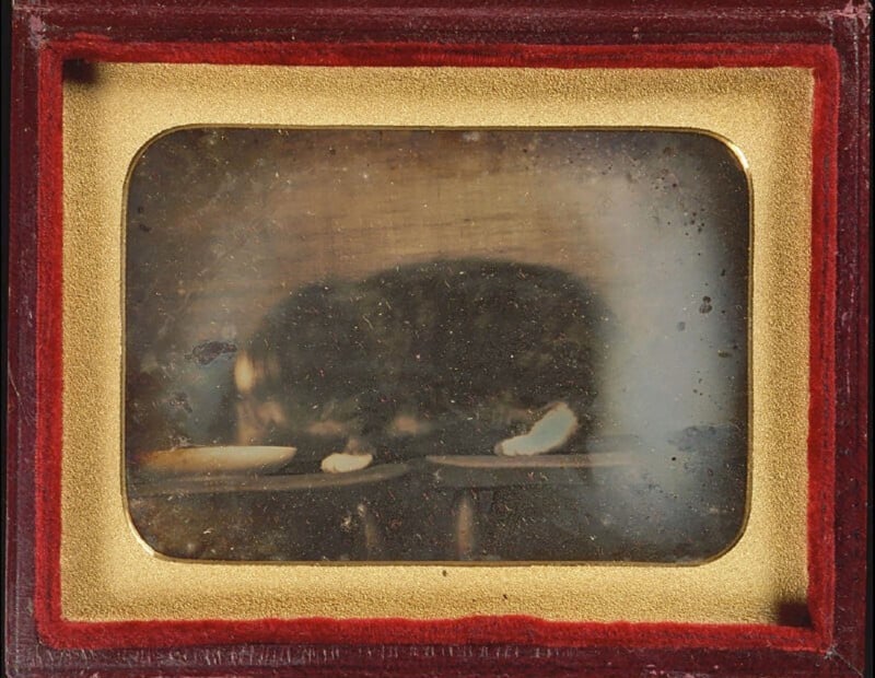 A side profile of a cat drinking from a bowl. The cat is on a table. The black and white image is framed by a yellow and red border. 