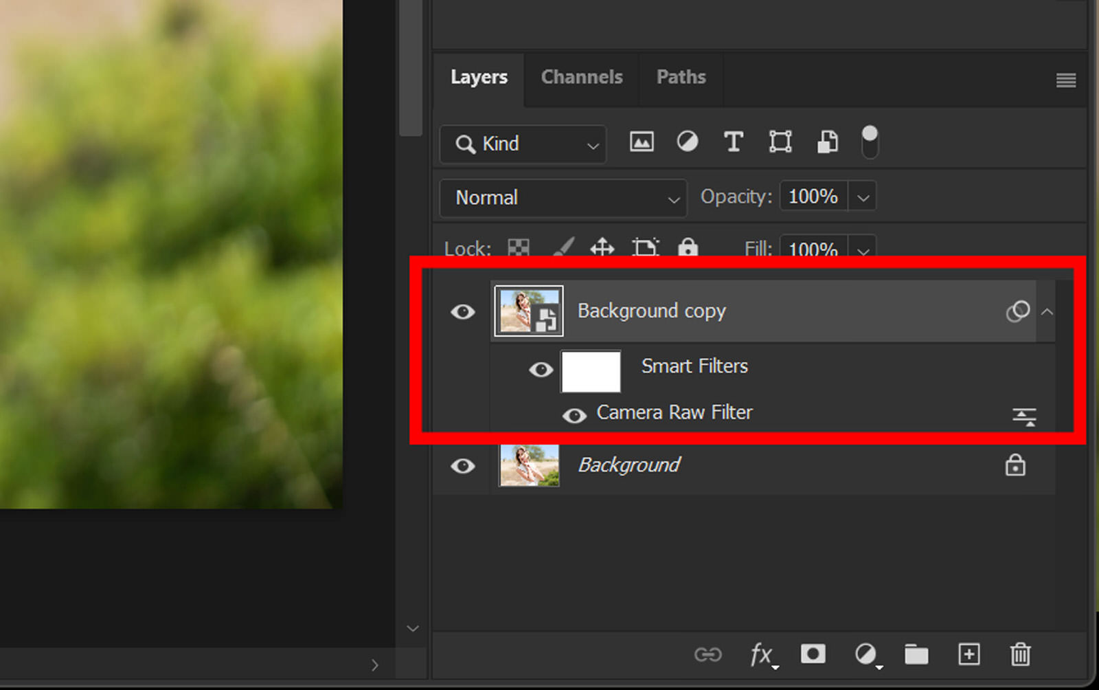 How to Use the Camera Raw Filter in PetaPixel