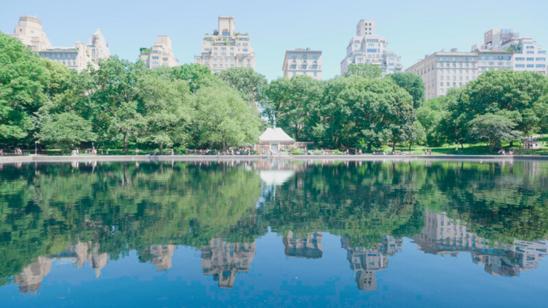 A building seen across a pond in New York City in the summer surrounded by trees.